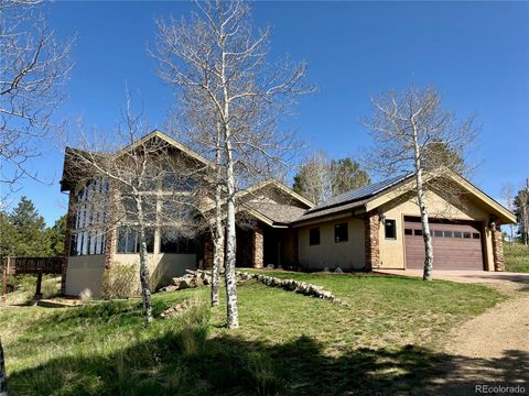 Single Family Residence in Conifer CO 28532 Hummingbird Hill Road.jpg