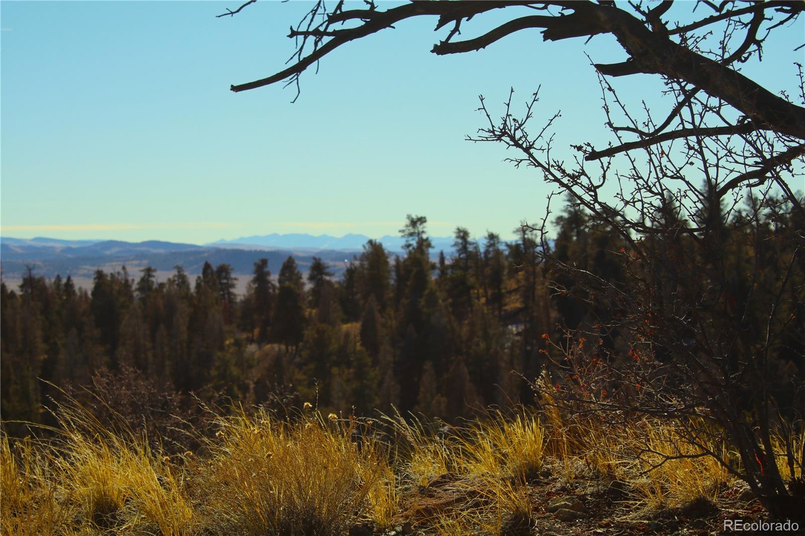 3632 Clear Creek Road