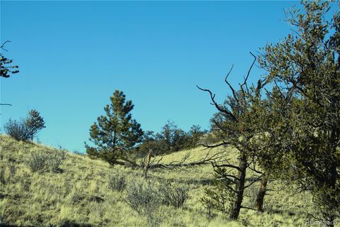 3632 Clear Creek Road Hartsel CO 80449