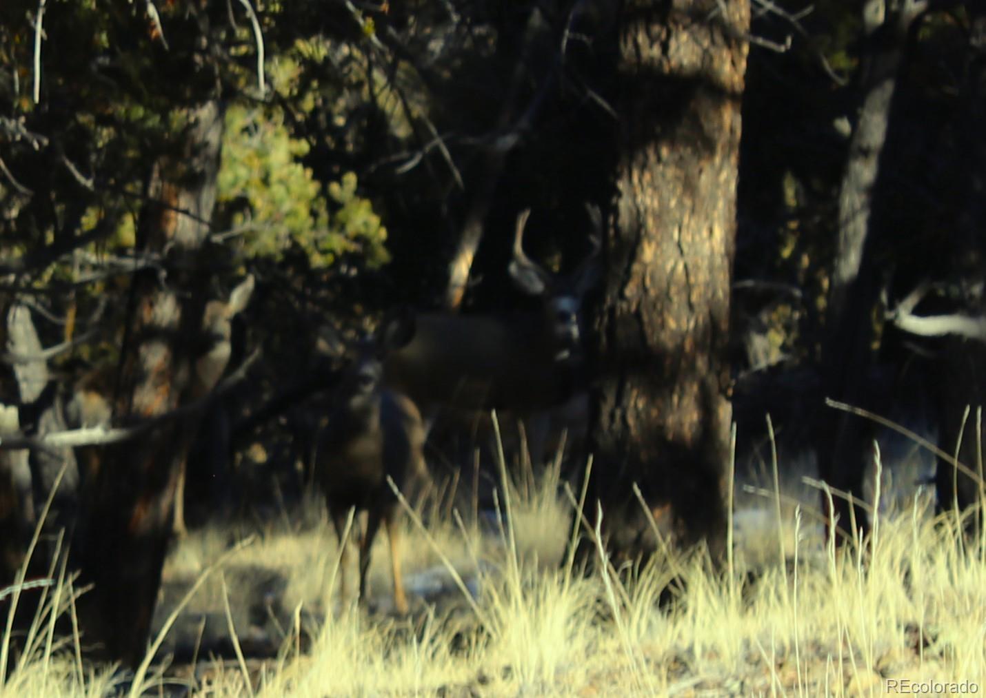 3632 Clear Creek Road