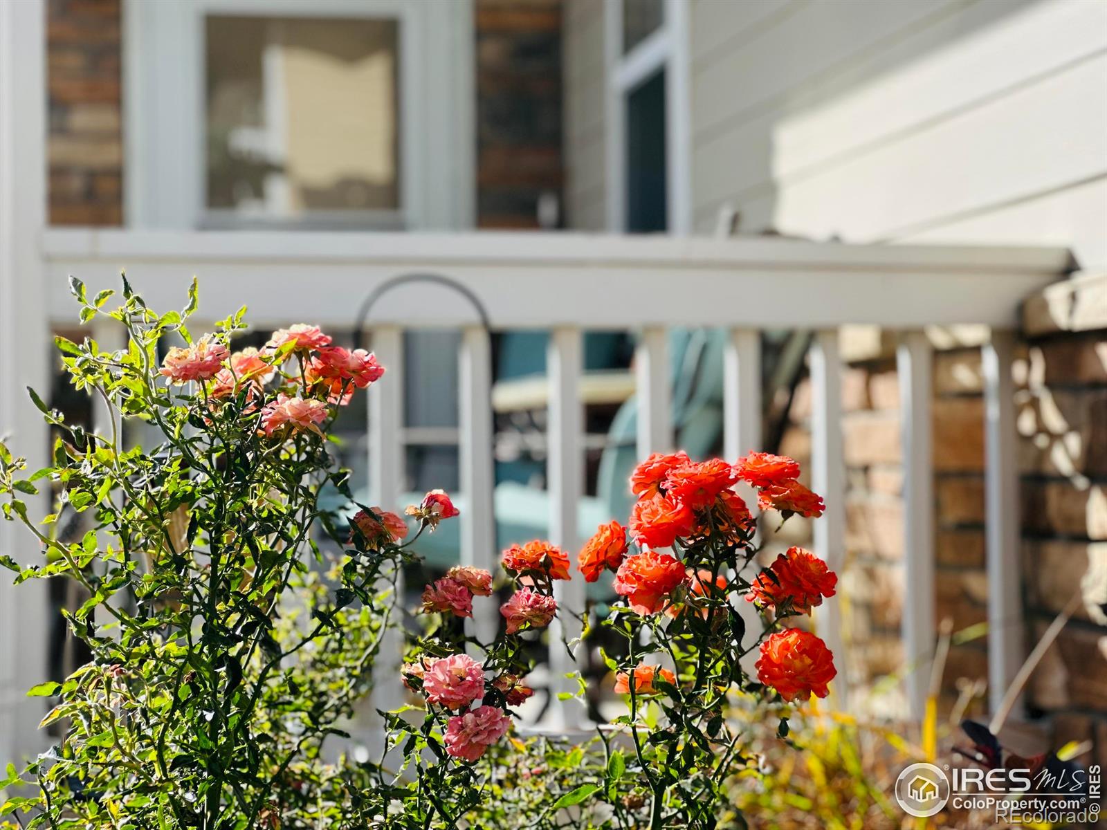 3770 Ponderosa Court 4