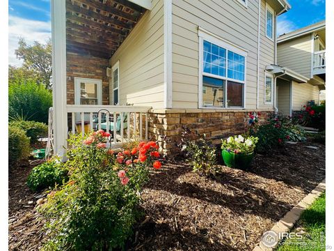 3770 Ponderosa Court 4 Evans CO 80620