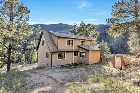 13550 S Foxton Road Conifer CO 80433