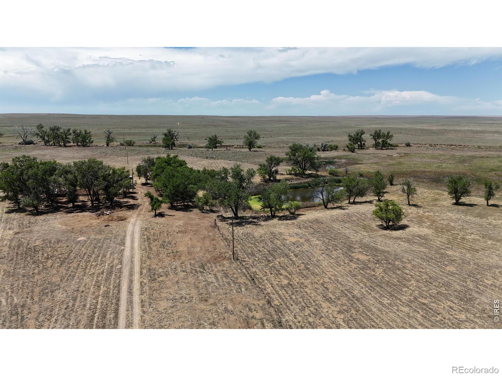 26247 County Road 2
