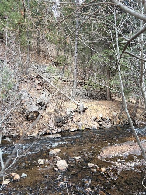 00000 S Elk Creek Road Pine CO 80470