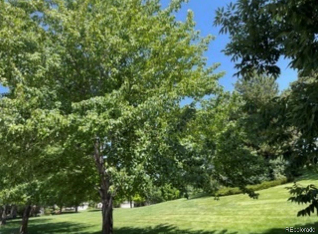 46 Golden Eagle Road
