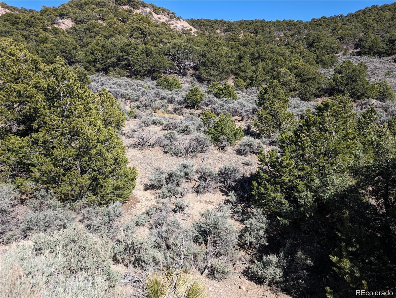 Lot 2131 Trujillo Road