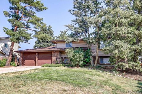 13678 Omega Circle Lone Tree CO 80124