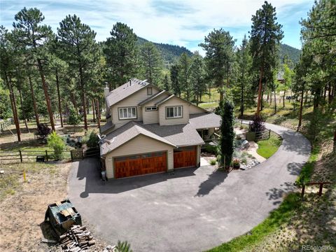 13637 Wamblee Trail Conifer CO 80433