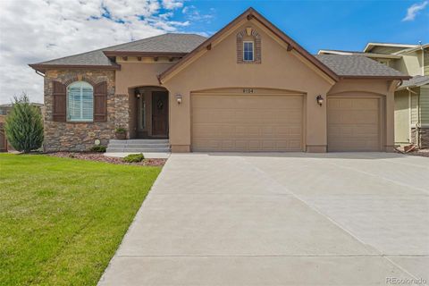 9104 Argentine Pass Trail, Colorado Springs, CO 80924 - #: 5328535