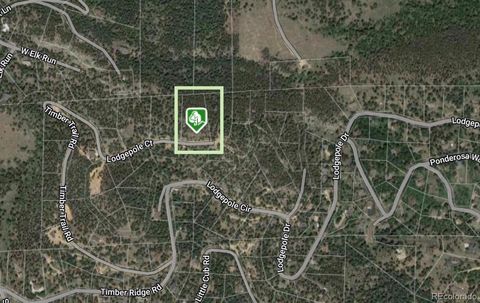 32593 Lodgepole Drive Evergreen CO 80439