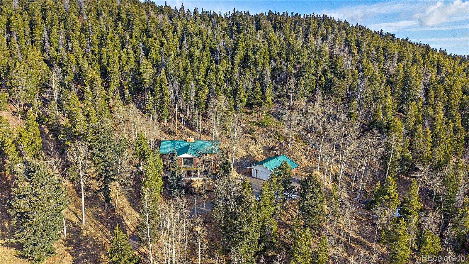 66 Lodgepole Circle