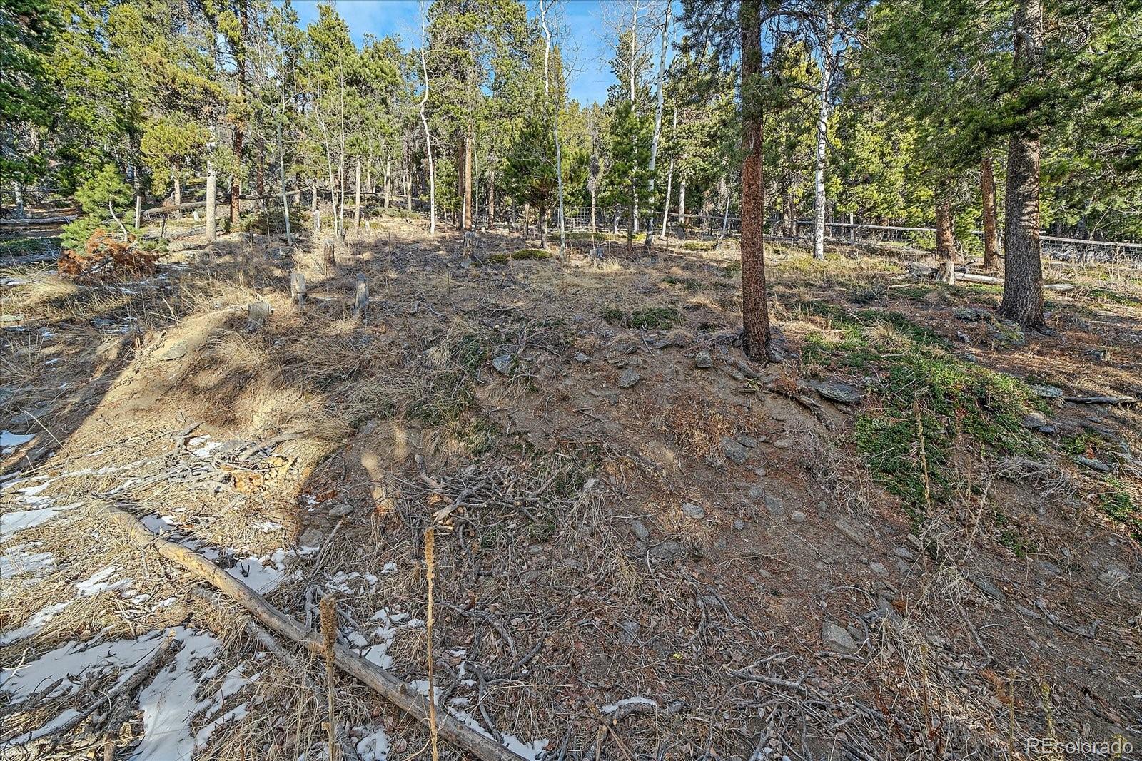 66 Lodgepole Circle
