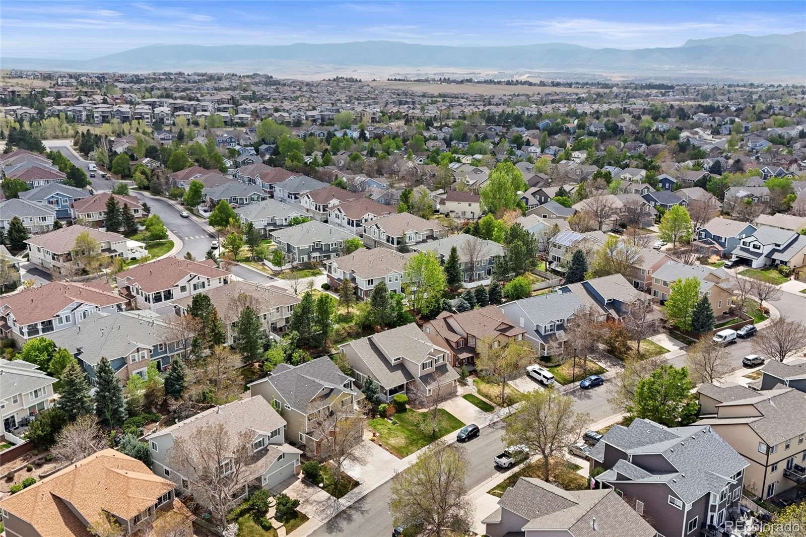 467 Rose Finch Circle
