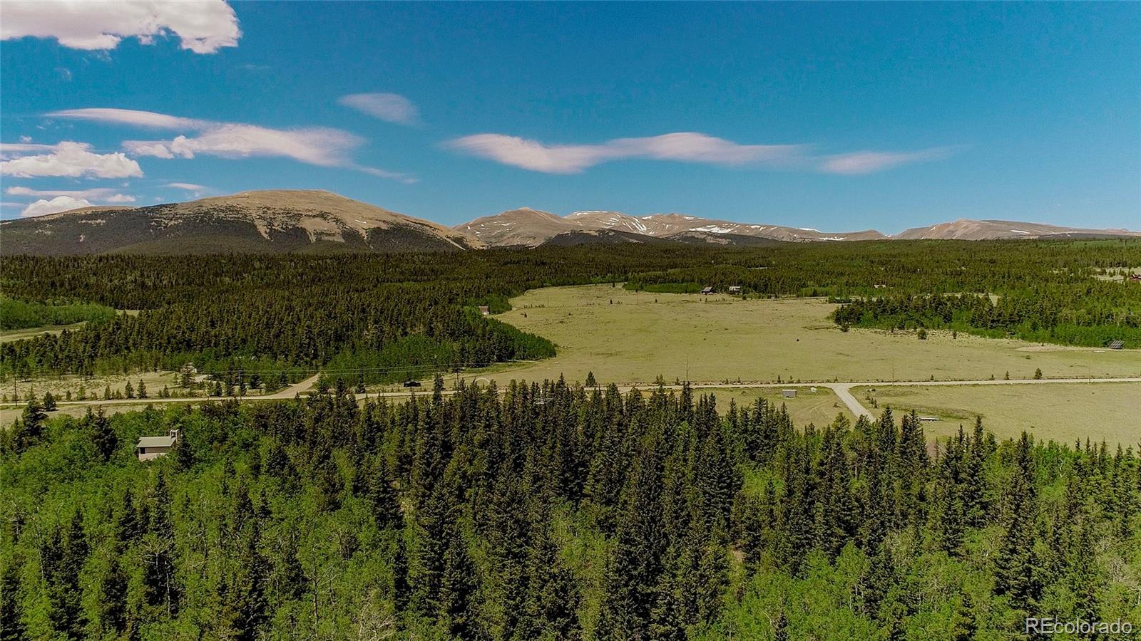 515 Wild Rye Rd, Fairplay, CO 80440