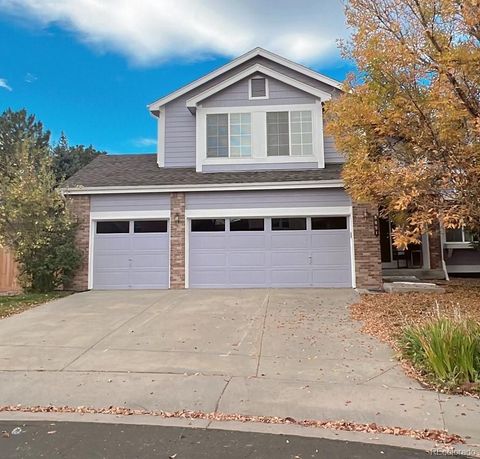 8891 Snowbunting Court, Highlands Ranch, CO 80126 - #: 8287248