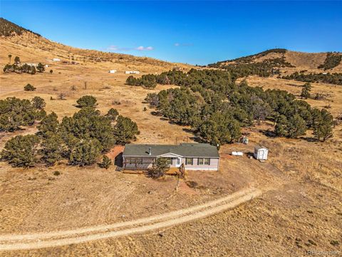 1062 25th Trail, Cotopaxi, CO 81223 - #: 3772795