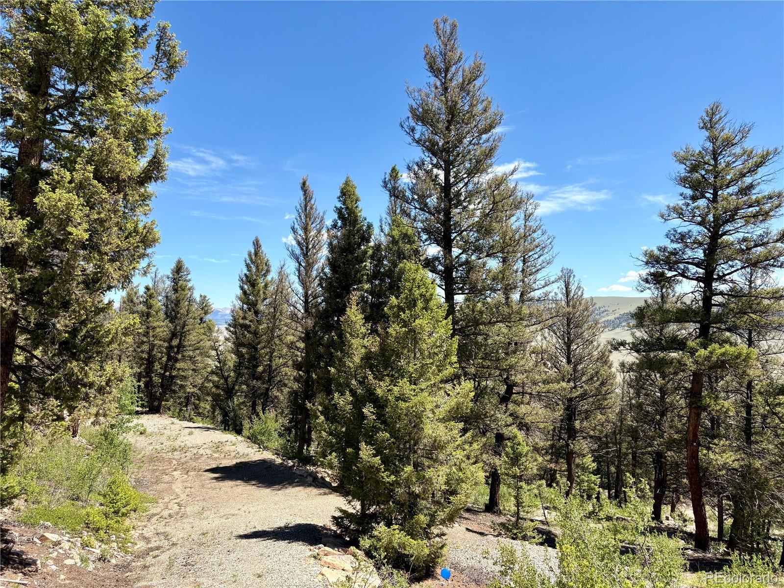 1720 Middle Fork Vista
