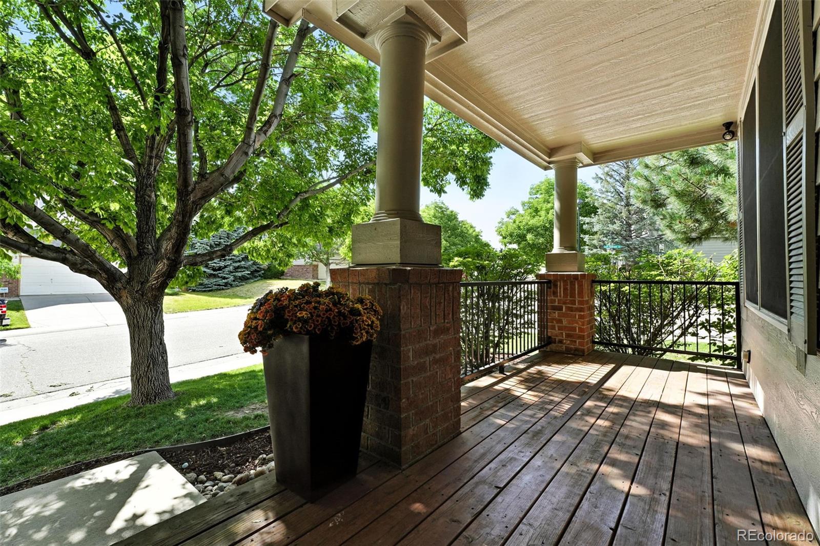 4253 Lark Sparrow Street