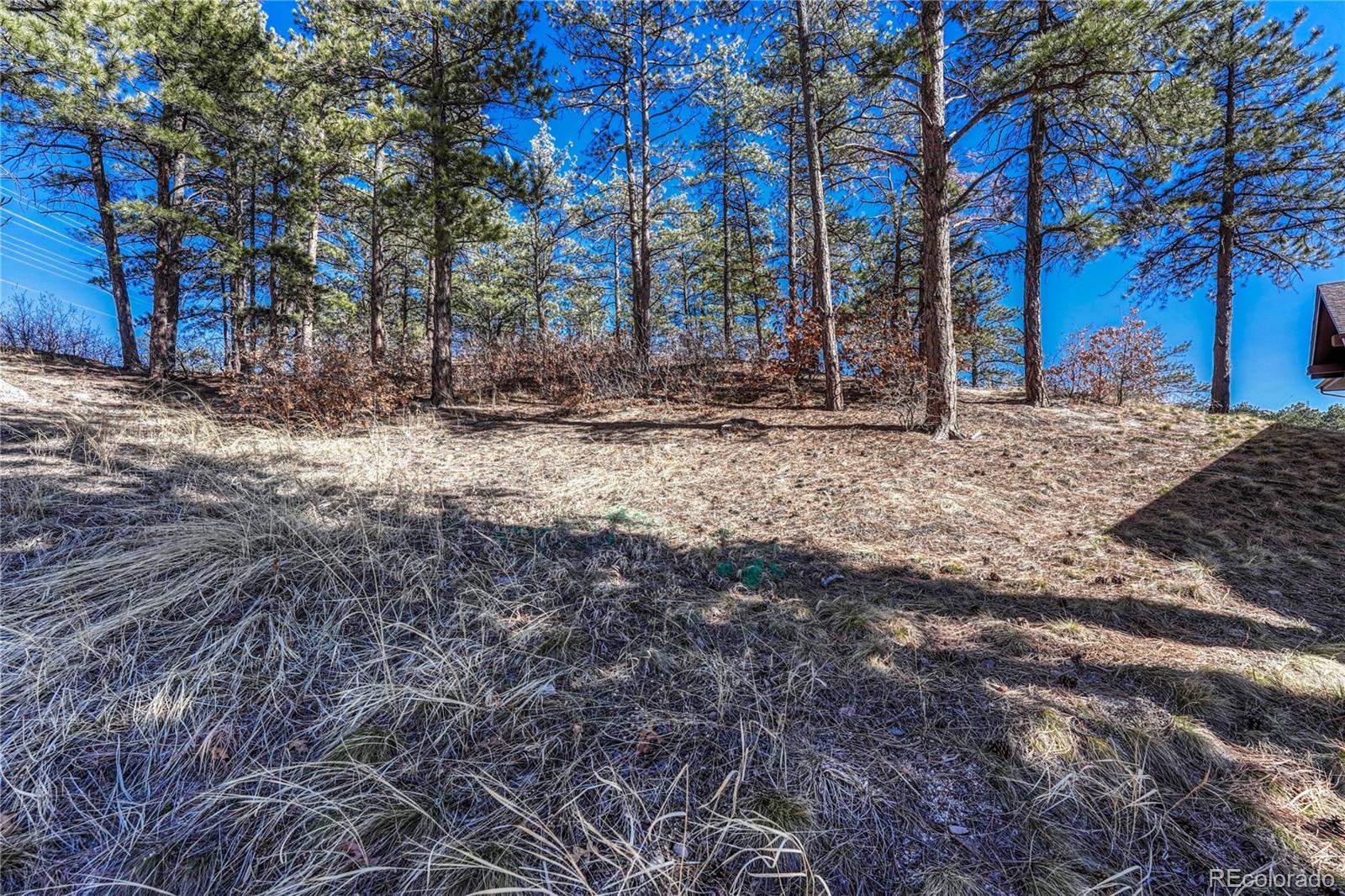 2111 Ramblewood Court