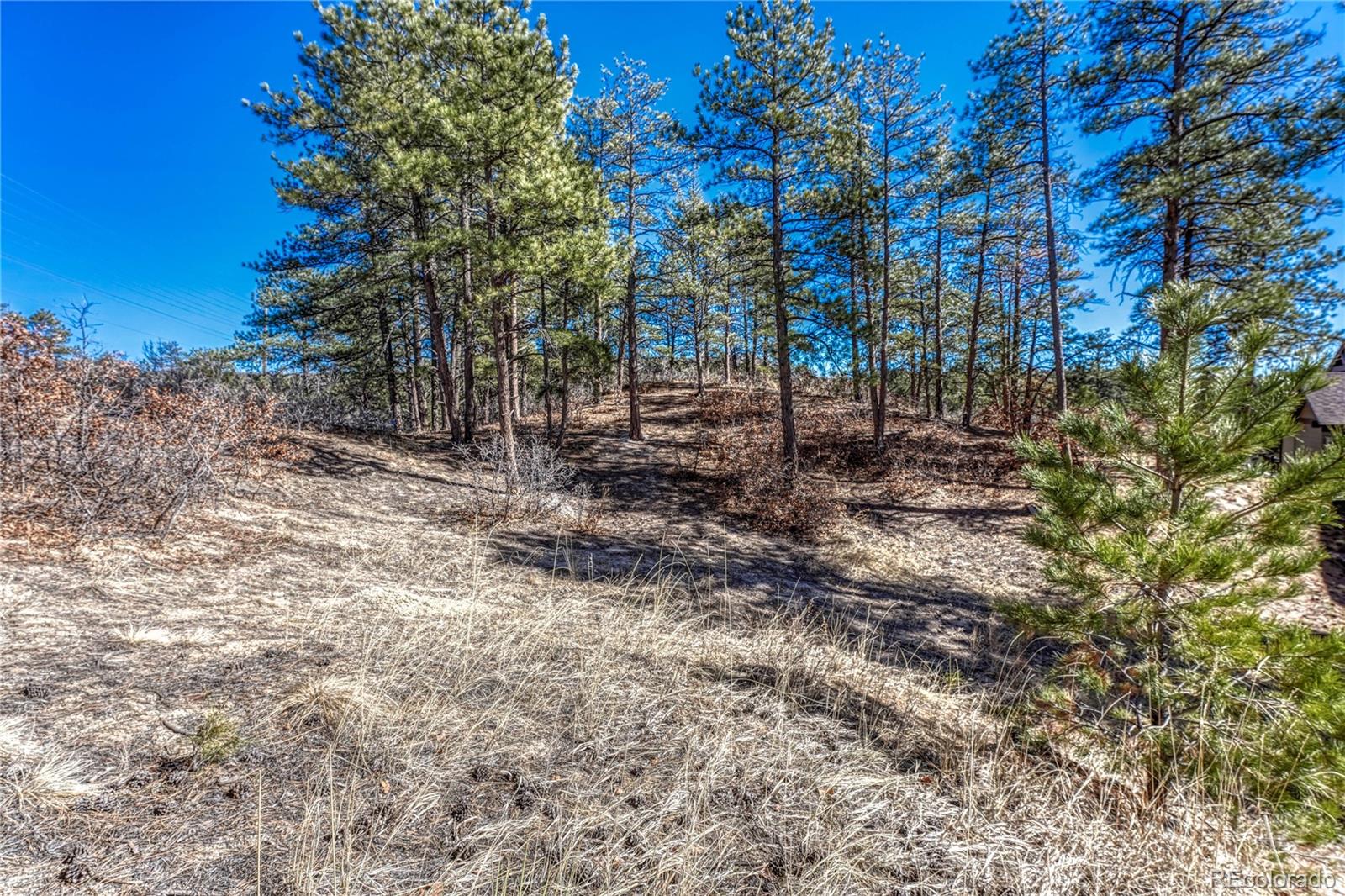 2111 Ramblewood Court