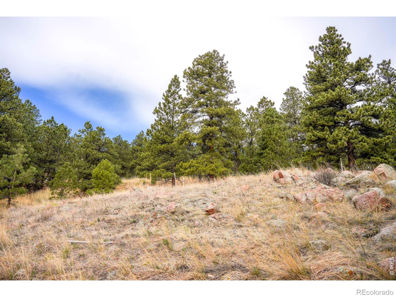 61 Wild Horse Circle