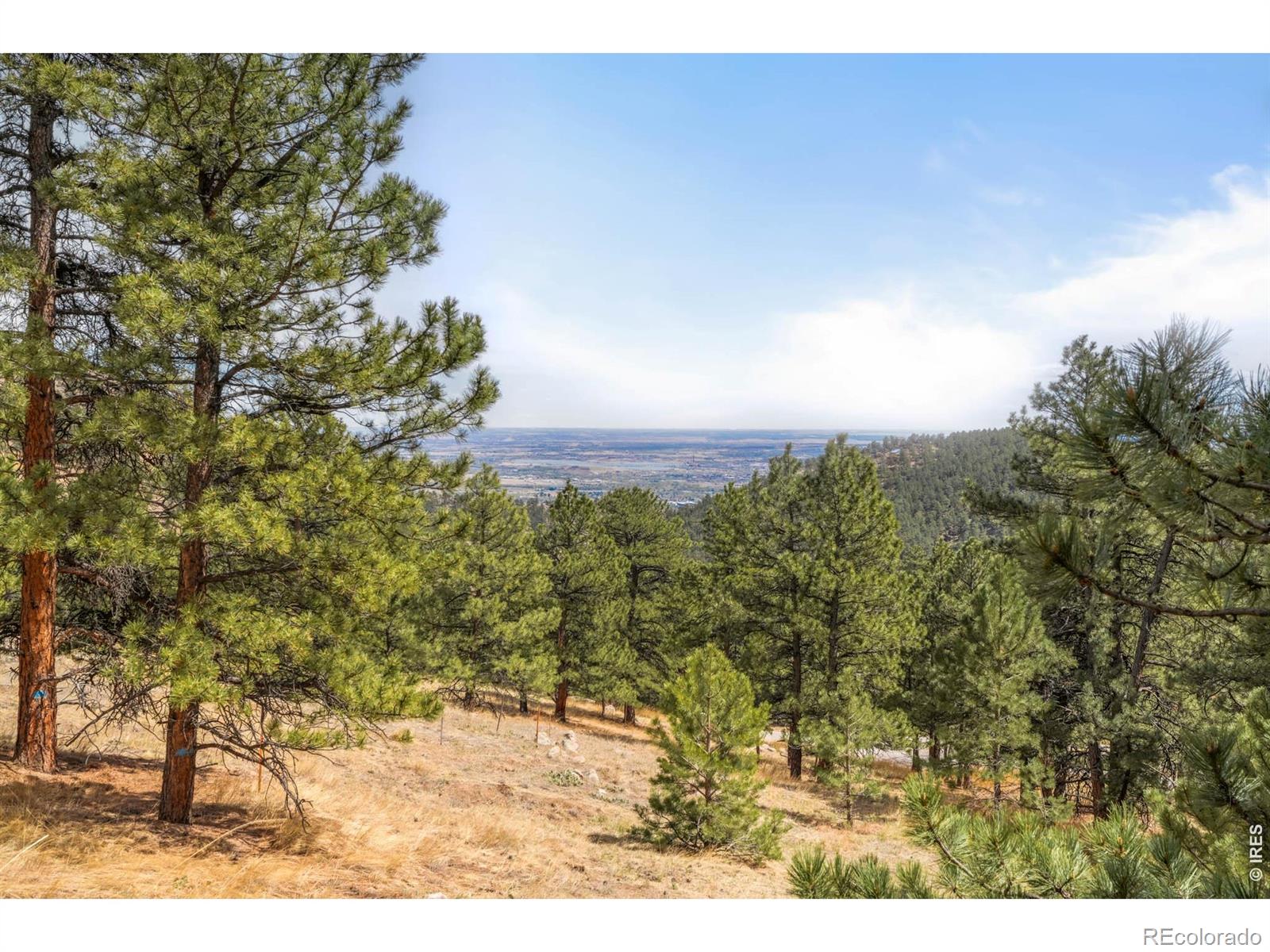 61 Wild Horse Circle