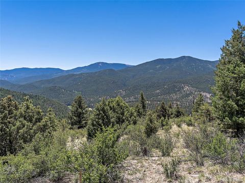 817 Pine Hollow Road, Bailey, CO 80421 - #: 7965257