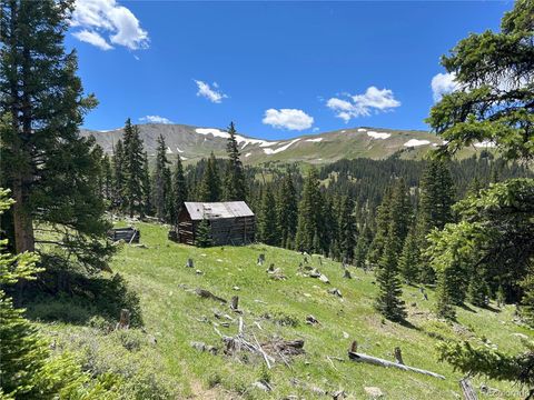 000 ROAD 398 Buena Vista CO 81211