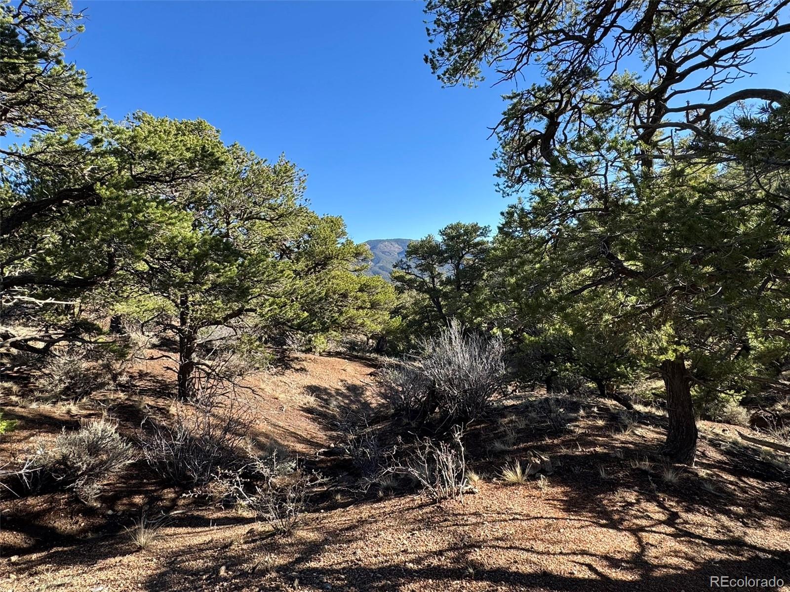 LOT 2336 Sandoval Road