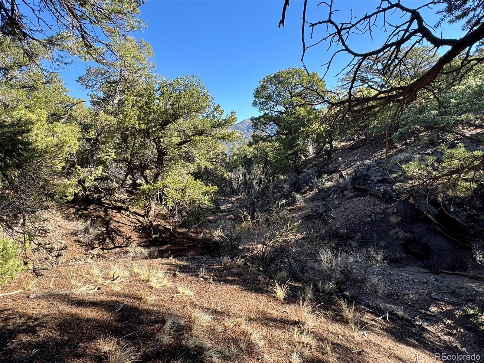 LOT 2336 Sandoval Road
