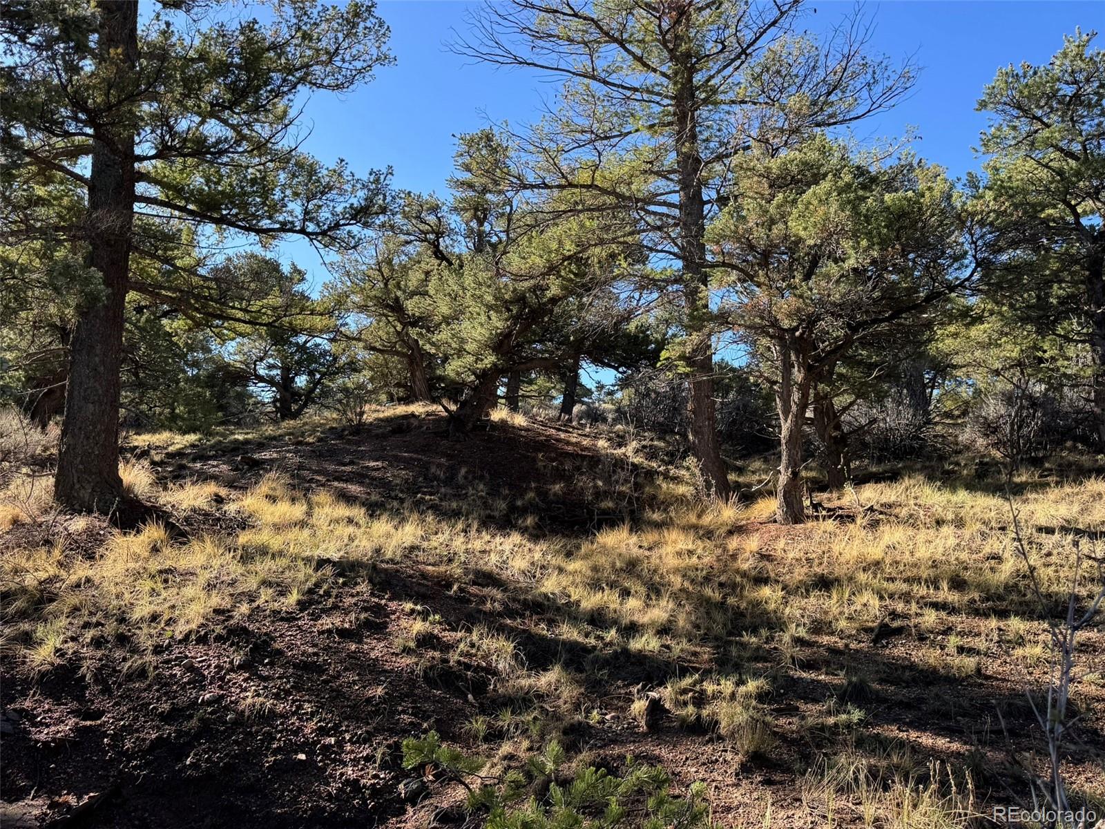 LOT 2336 Sandoval Road