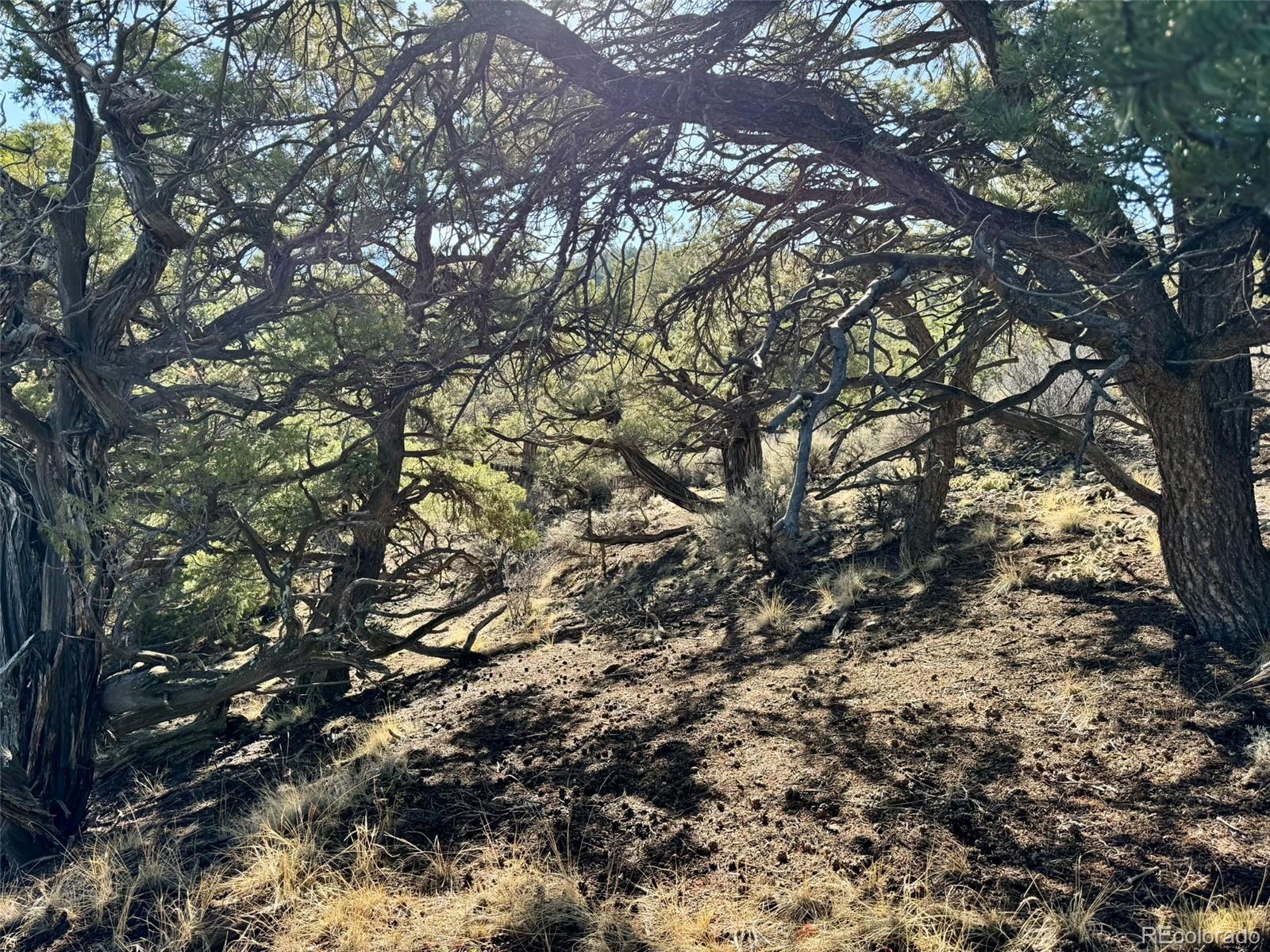 LOT 2336 Sandoval Road
