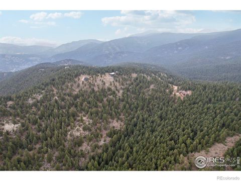 2091 Magnolia Drive Nederland CO 80466