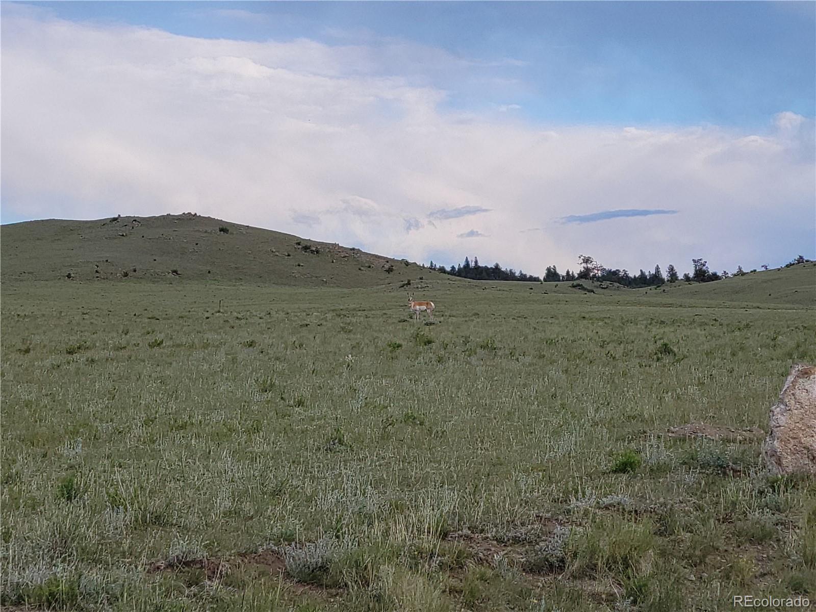 Photo 4 of 22 of 200 Cedar Lane land