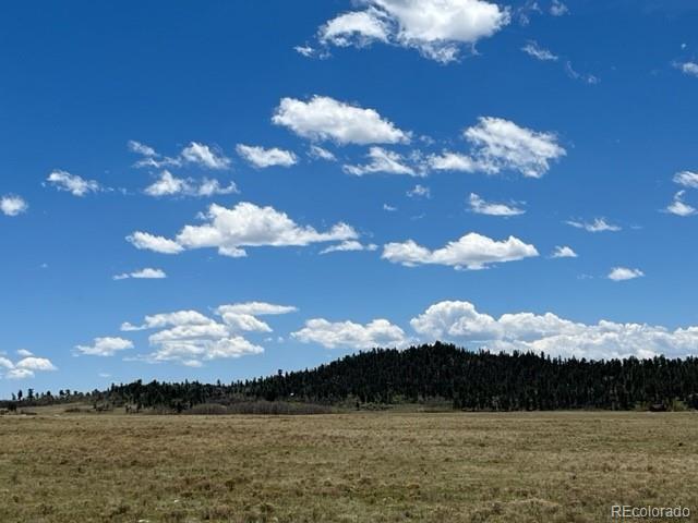 Photo 6 of 22 of 200 Cedar Lane land