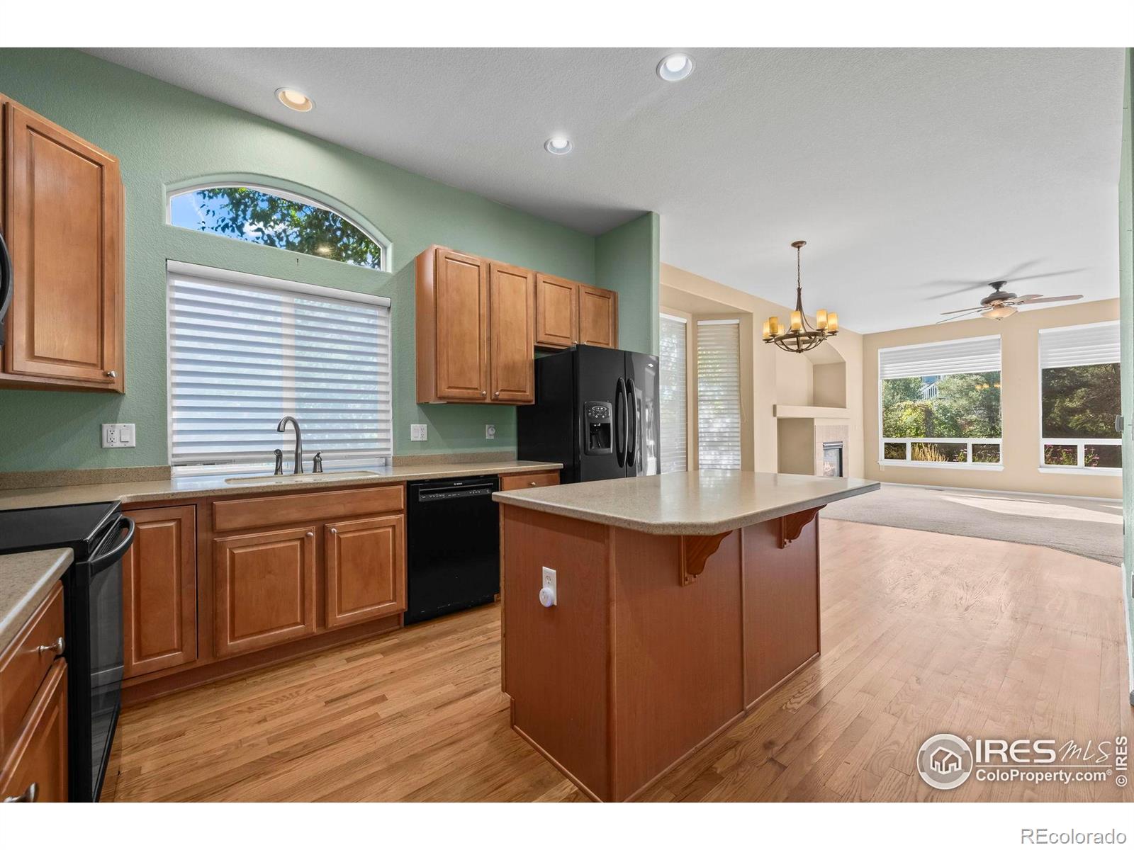 1834 Pine Street, Erie, CO, 80516 4 1834 Pine Street