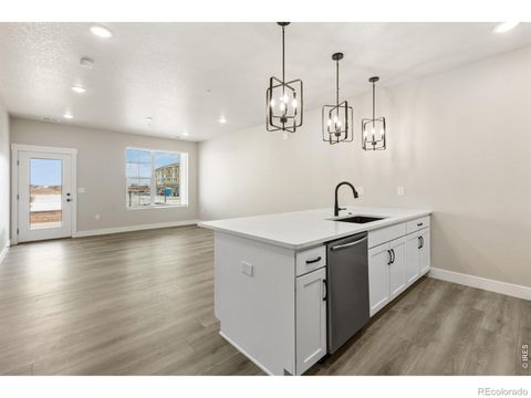 968 Birdwhistle Lane 5 Fort Collins CO 80524
