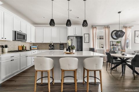 5132 Coltin Trail Castle Rock CO 80104