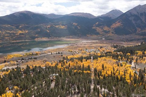 341 County Road 26 Twin Lakes CO 81251