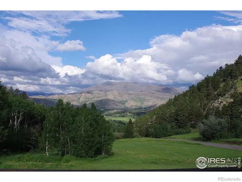 16705 Rist Canyon Road, Bellvue, CO 80512 - #: IR1003974
