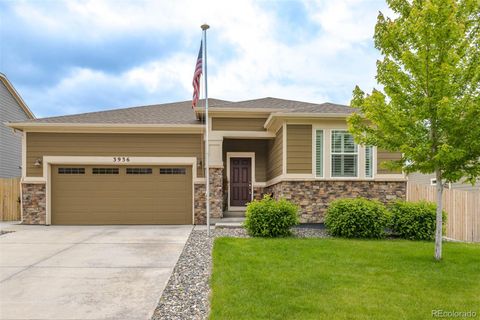 3936 Costillo Court Brighton CO 80601
