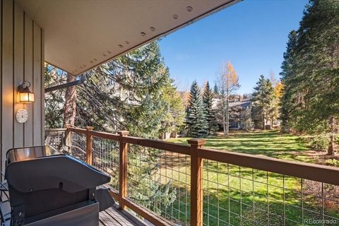 1937 Soda Ridge Road 1159 Dillon CO 80435