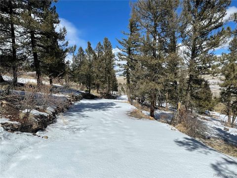 608 Redhill Road, Fairplay, CO 80440 - #: 5300909