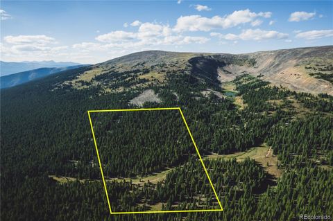 5347 Monitor Leadville CO 80461