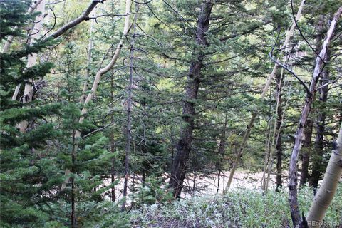 5340 FS 718.1 Black Hawk CO 80422