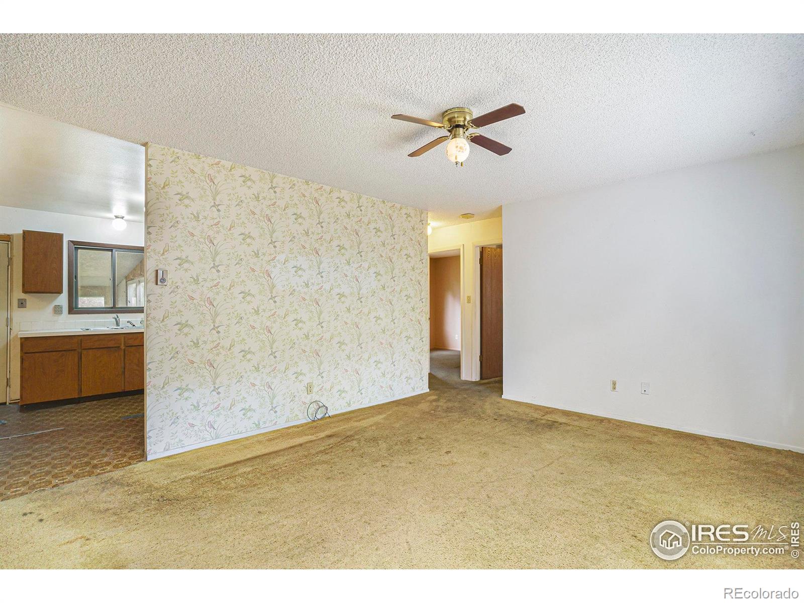 3513 Sabre Drive