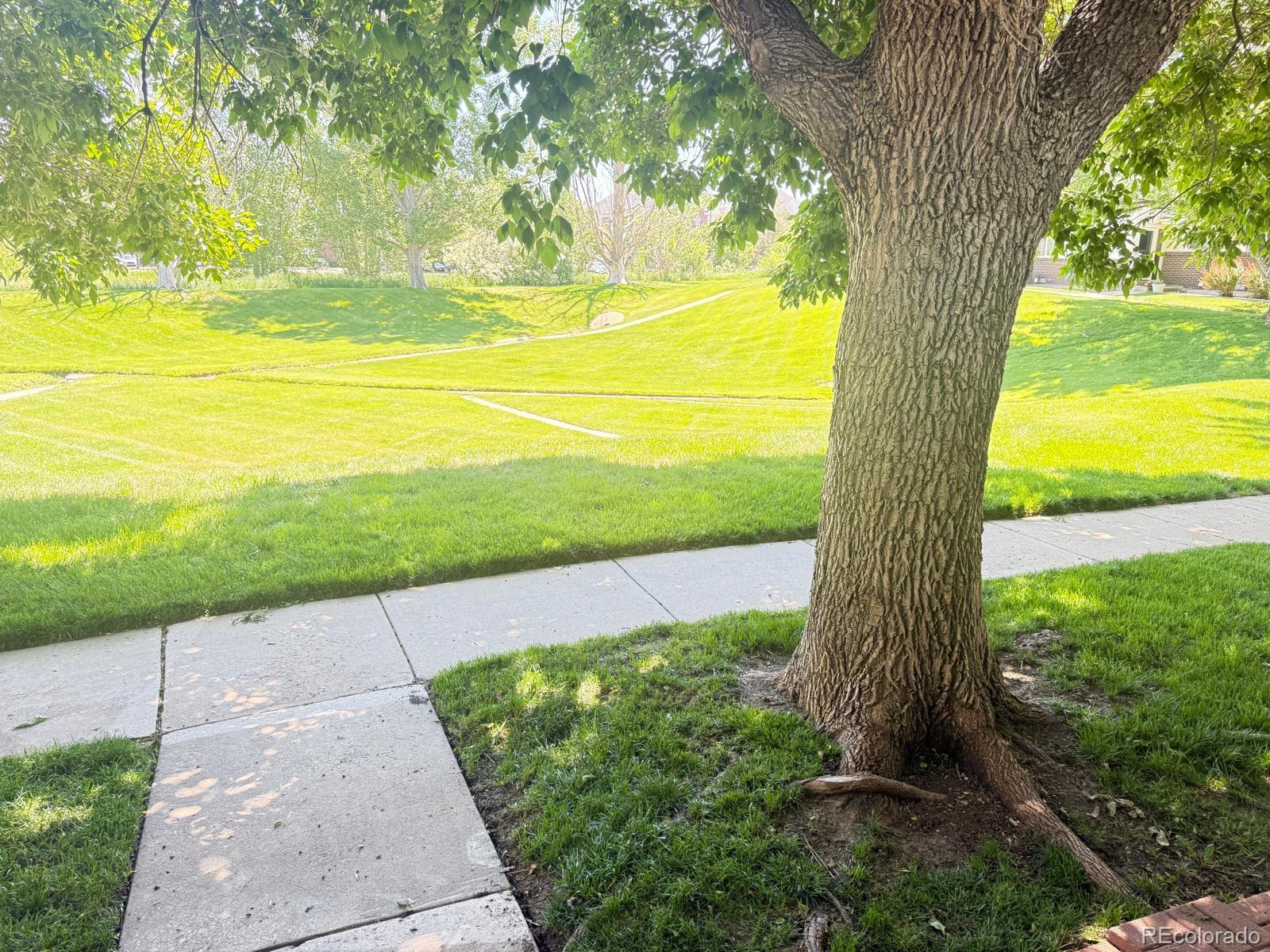 9255 E Lehigh 213, Denver, CO, 80237 3 9255 E Lehigh 213