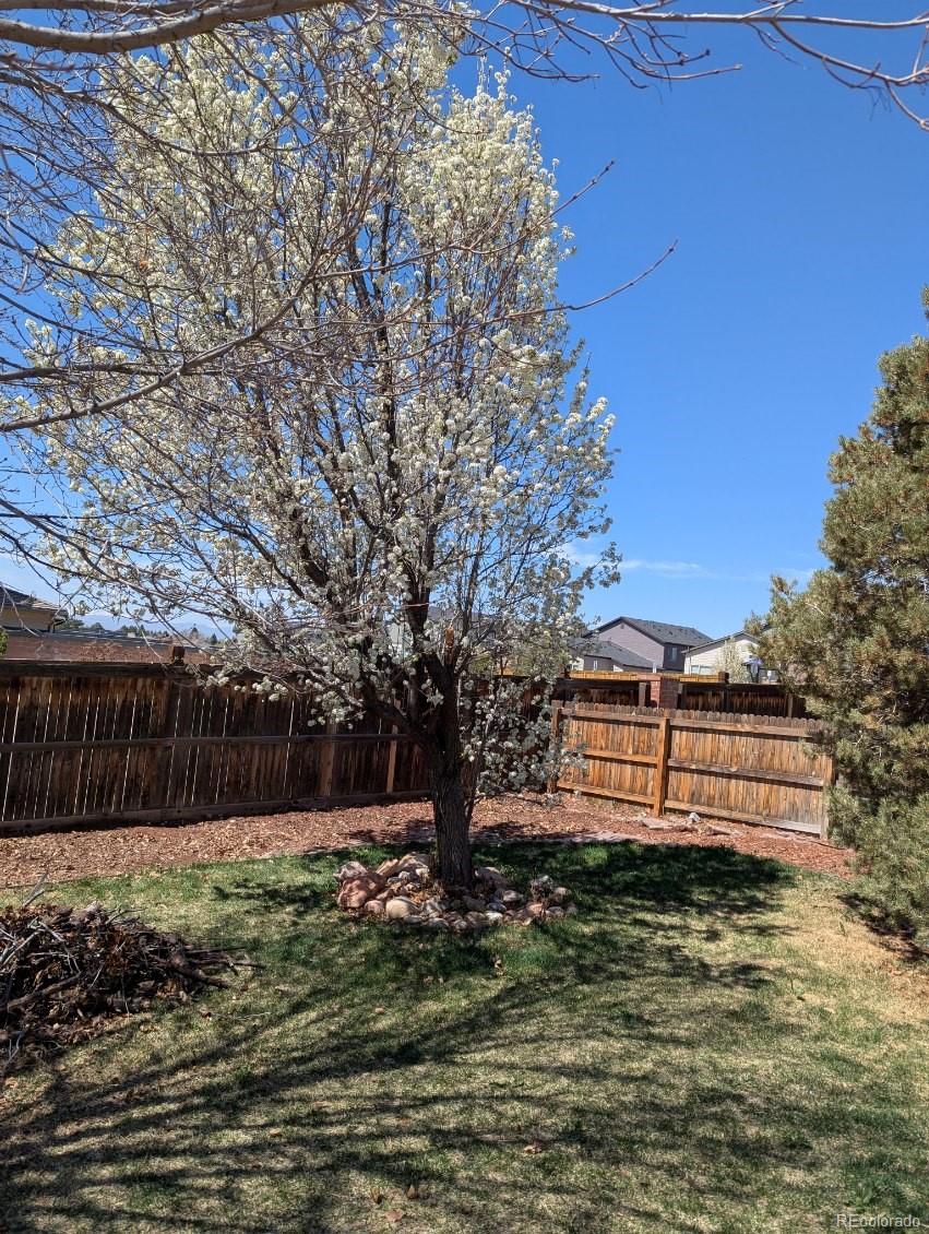 4483 S Fundy Street, Centennial, CO, 80015 2 4483 S Fundy Street