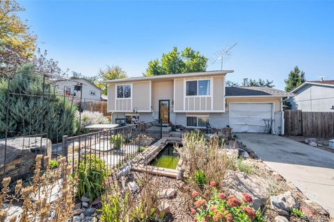 266 Wooster Avenue Firestone CO 80520